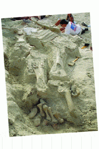 http://oloommagazine.com/images/Articles/2007/5-6/53.gif