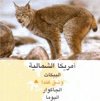 http://oloommagazine.com/images/Articles/2008/1-2/scan0056%5b1%5d.gif