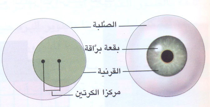 http://oloommagazine.com/images/Articles/2008/12/000007.jpg