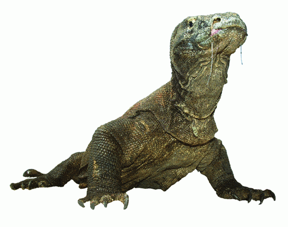 http://oloommagazine.com/Images/Articles/2008/3-4/97.gif