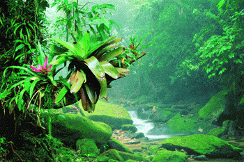 http://oloommagazine.com/images/Articles/2008/3-4/95.gif