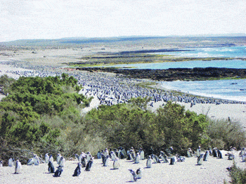 http://oloommagazine.com/images/Articles/2008/3-4/94.gif