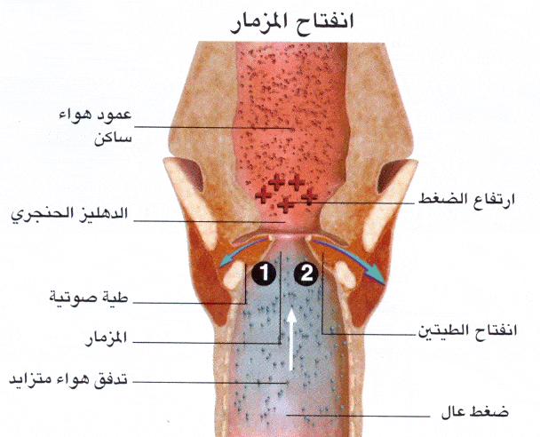 http://oloommagazine.com/images/Articles/2008/8&9/049%5b2%5d.gif
