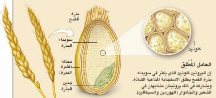 http://oloommagazine.com/Images/Articles/2010/1-2/2010_01_02_24_a.jpg