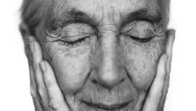http://oloommagazine.com/Images/Articles/2011/7-8/2011_07_08_31.jpg