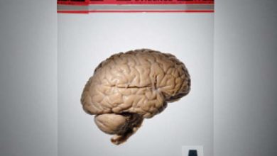 http://oloommagazine.com/Images/Articles/2011/9-10/sa0411Gazz01_opt.jpeg