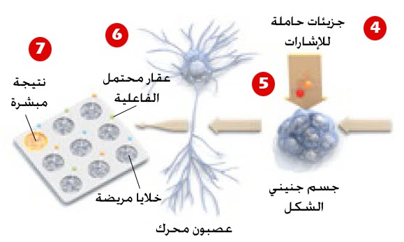 http://oloommagazine.com/Images/Articles/2011/9-10/sa0311Hall03_opt2.jpeg