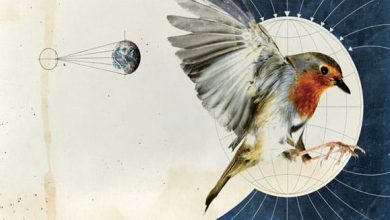 http://oloommagazine.com/Images/Articles/2012/01-02/2012_01_02_30.jpg
