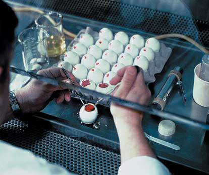 http://oloommagazine.com/images/Articles/21/SCI2005b21N10-11_H01_001029.jpg