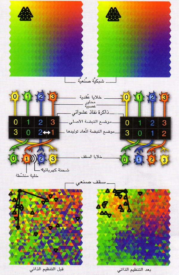 http://oloommagazine.com/images/Articles/21/SCI2005b21N5-6_H04_004039.jpg