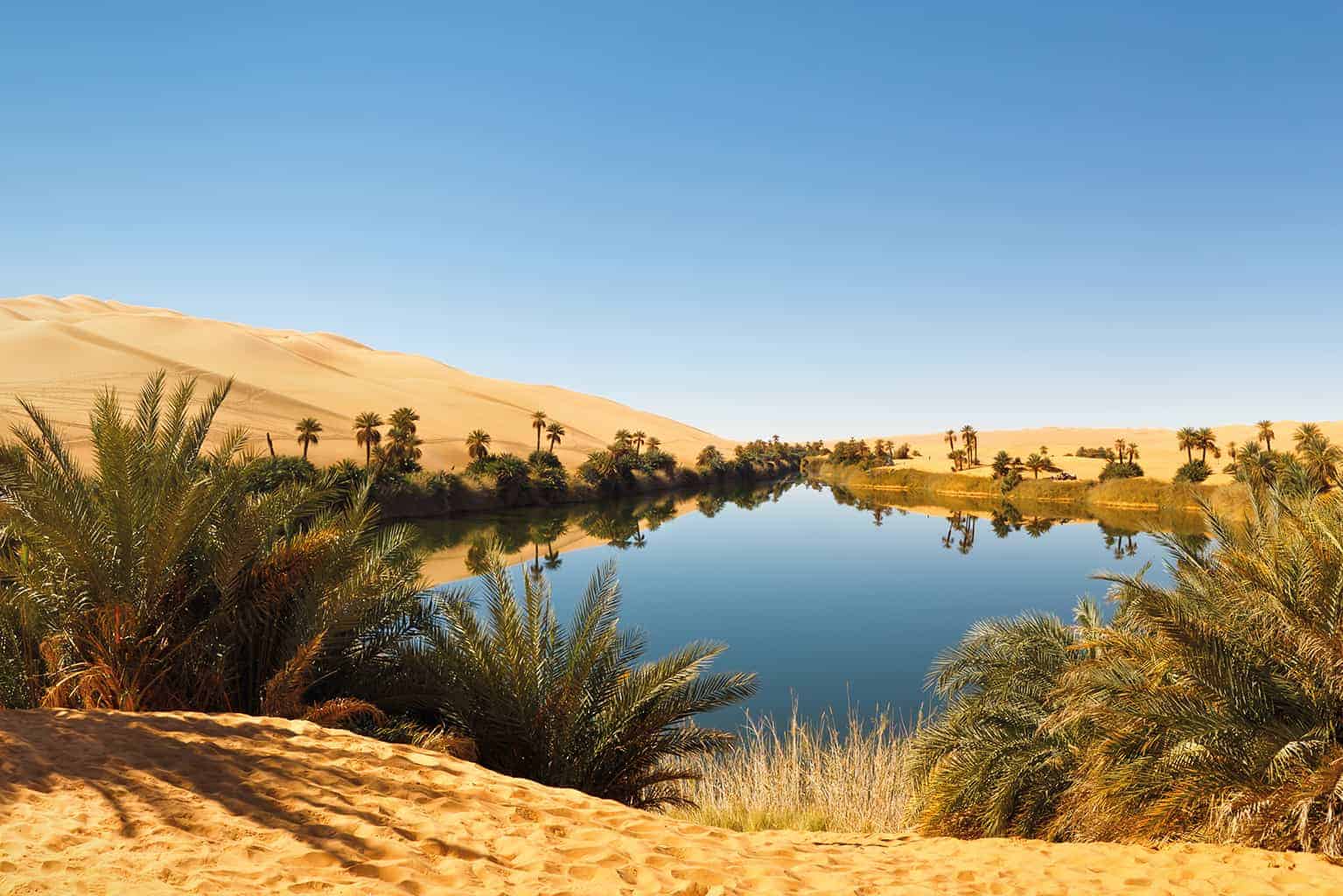 واحات الأرض الرائعة