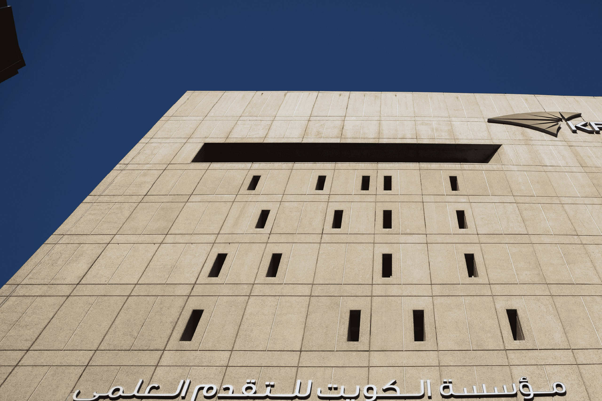 عام من التقدم والوعود
