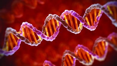 الفيروسات القديمة