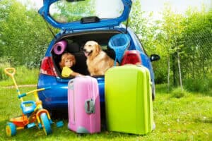 A young child and a golden retriever sit in the open trunk of a blue car. Bright green grass and trees surround them. Nearby, two large suitcases and a tricycle hint at adventure—a perfect day for exploring Quebec using a comparateur for travel plans.