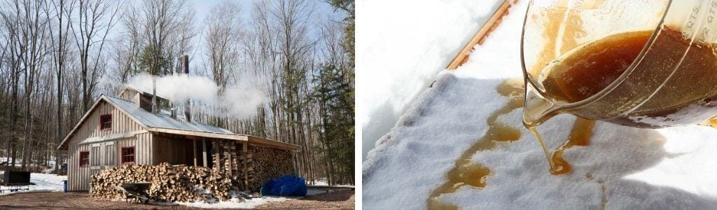 assurance cabane à sucre érablière assureur