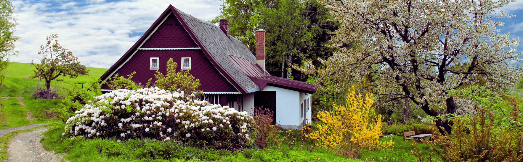Housing Criminal Record Housing Plunitive File