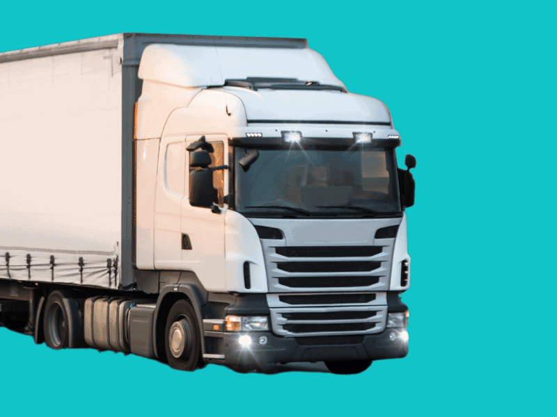 Long-distance transport