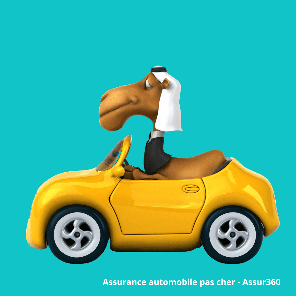 Car Insurance Broker Magog