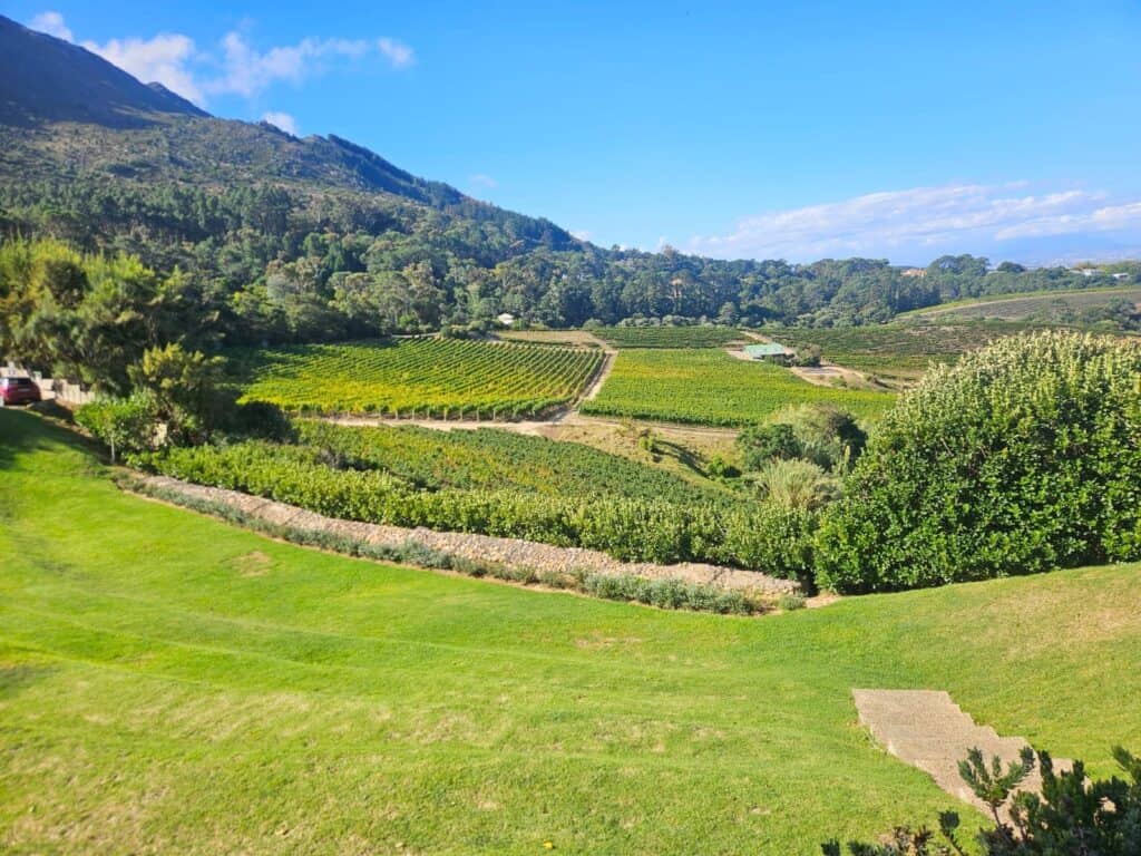 Views from Beau Constantia, a wine farm in Cape Town.