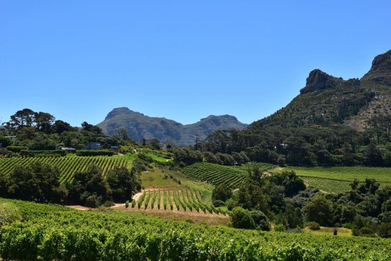 South African Wine Routes: Constantia Wine Route, Cape Town