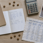 convertisseur age chat carnet santé calcul âge humain
