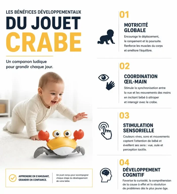 Infographie sur les bénéfices développementaux du jouet crabe pour l'éveil de bébé