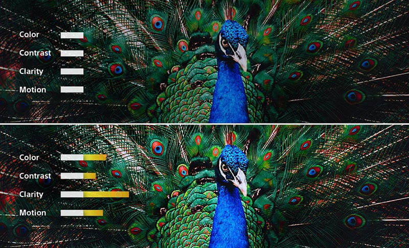 Sony launch new Bravia XR TV world's first TV with Cognitive Intelligence