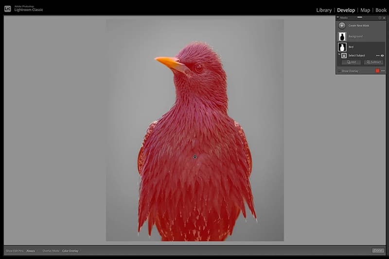 Adobe Camera RAW introduce masking features