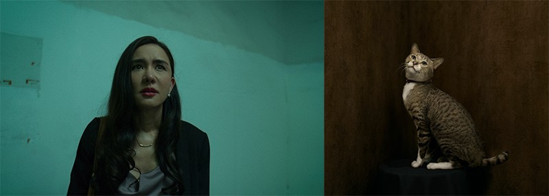 Netflix The Whole Truth character introduction