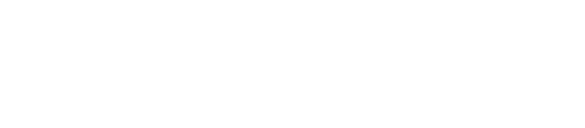 BACKUP EAGLE® logo in white against a transparent background.