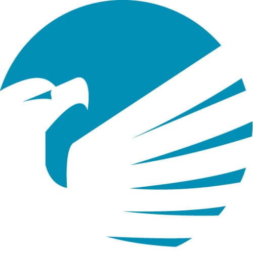 backup-eagle-favicon