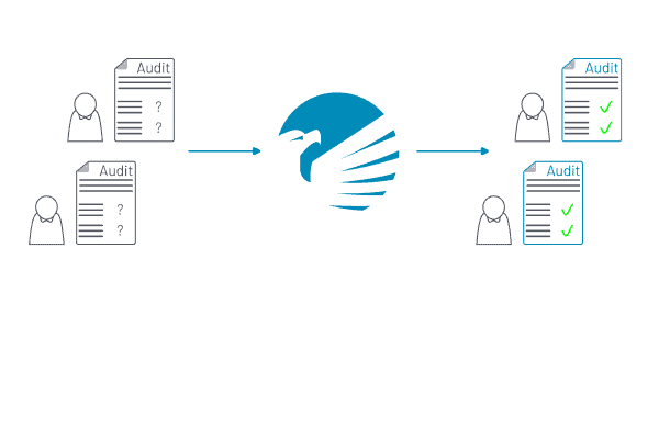 Graphic showing how BACKUP EAGLE® uses backup audits to ensure that regulations can be complied with.