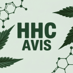 hhc avis visuel cannabis molécules