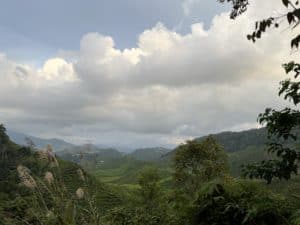 Cameron Highlands Tea Plantation Hike