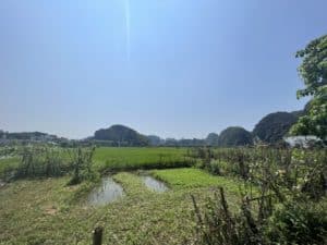 Ninh Binh nature