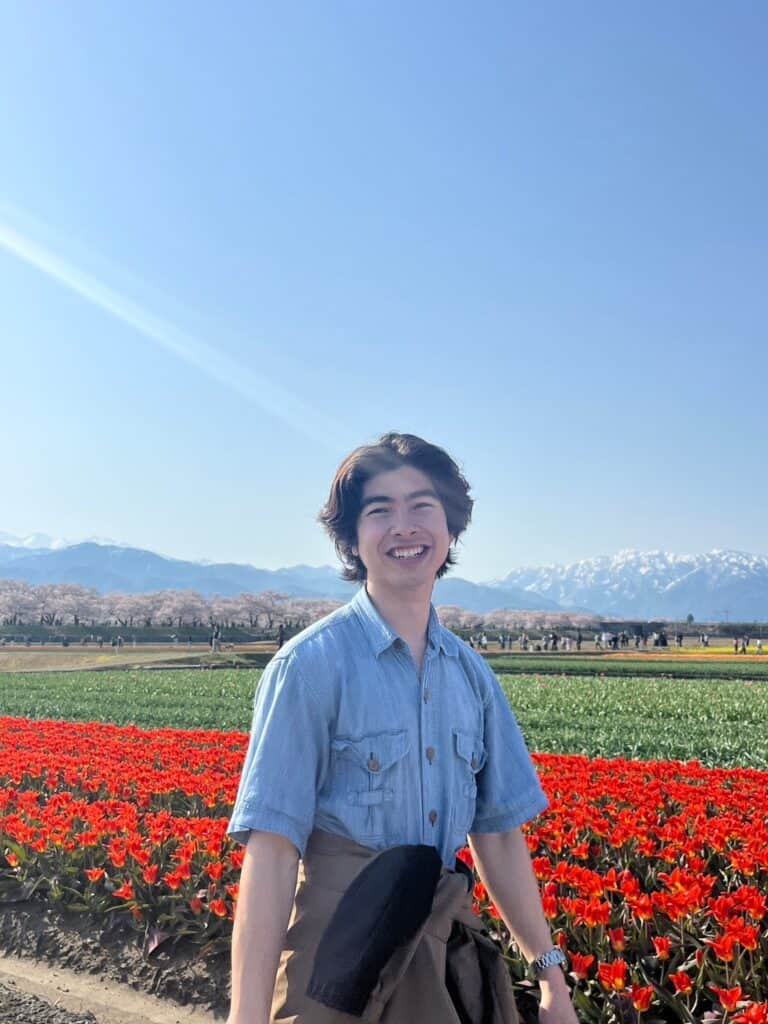 Toyama Japan cherry blossom spring quartet