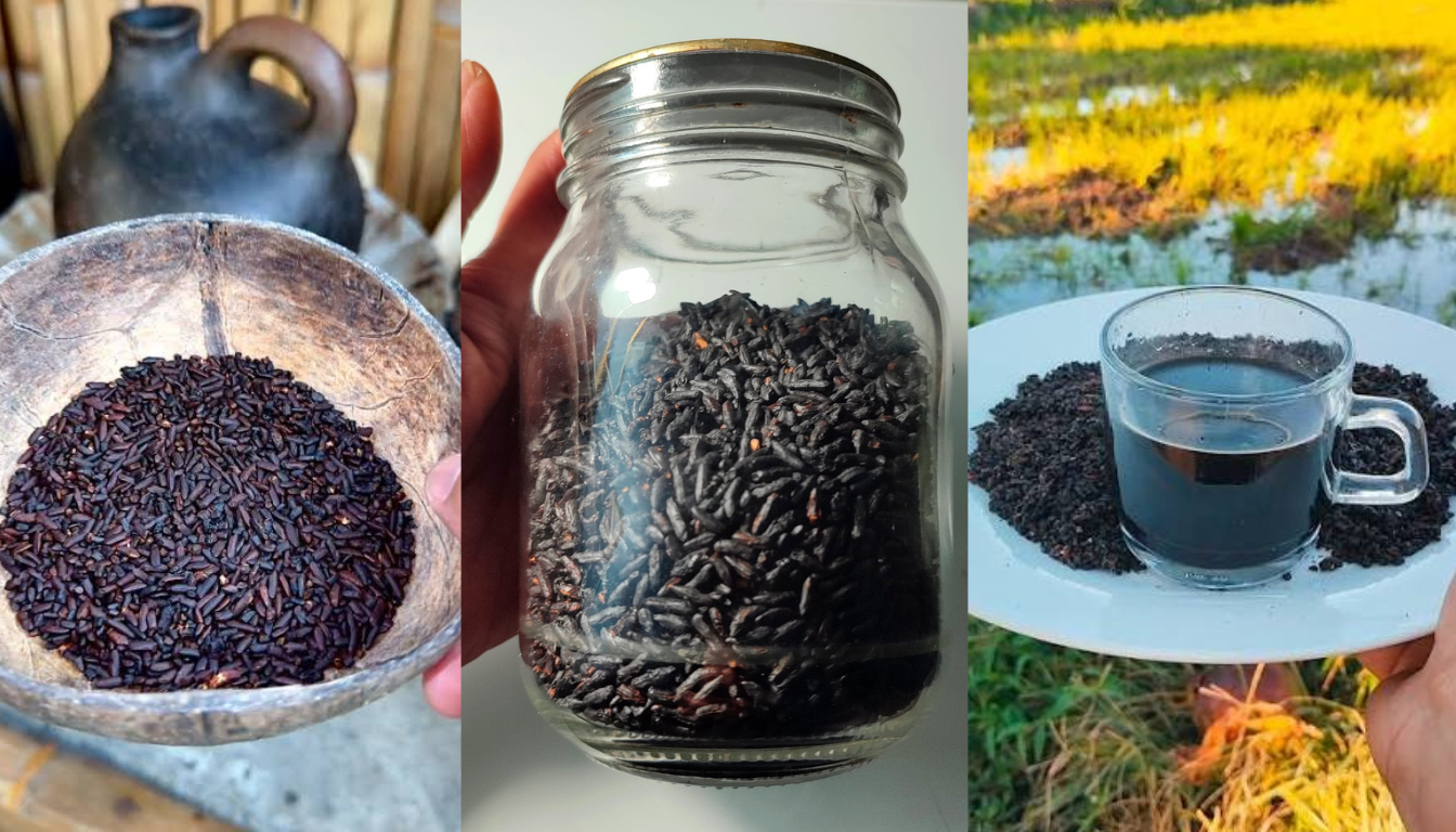 roasted rice coffee
