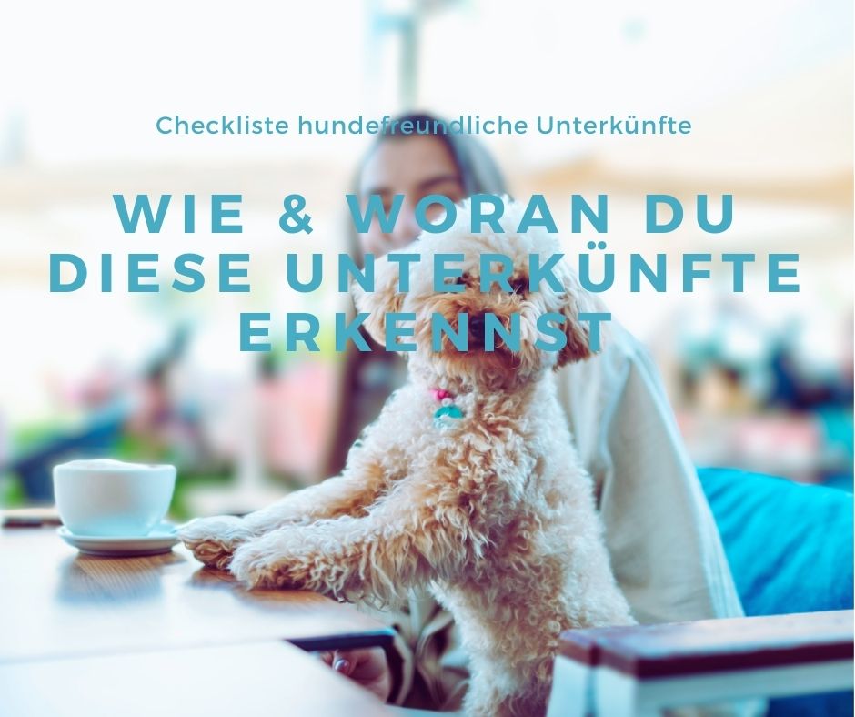 Checkliste: Wie & woran du echt! hundefreundliche Unterkünfte erkennst