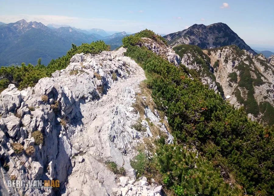 Bartlmahd-Route beim Rückweg bei Bergtour mit Hund am Hochstaufen