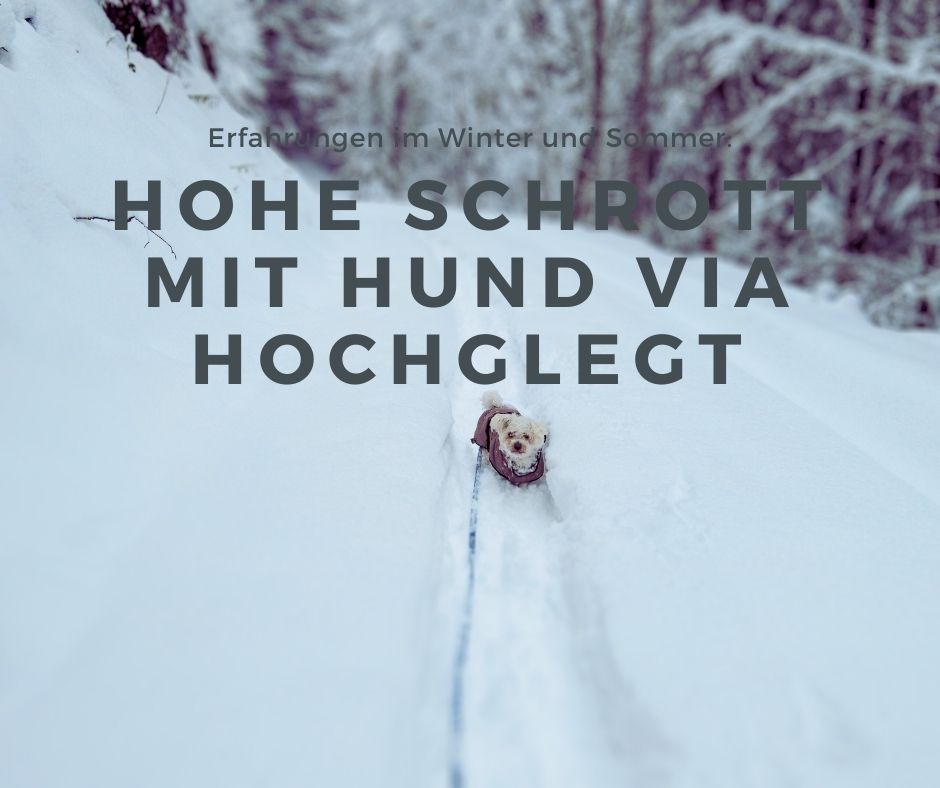 Du betrachtest gerade Hohe Schrott Wanderung mit Hund via Hochglegt: Erfahrungen im Winter und Sommer