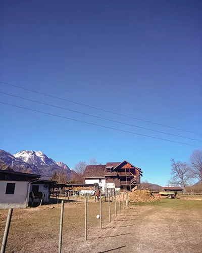 Wanderung mit Hund von Rettenbach in Bad Ischl auf die Hohe Schrott