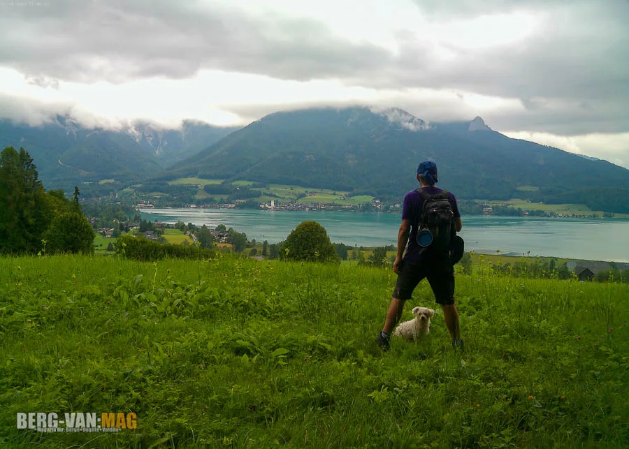 Infos zu Urlaub mit Hund in der Wolfgangseeregion