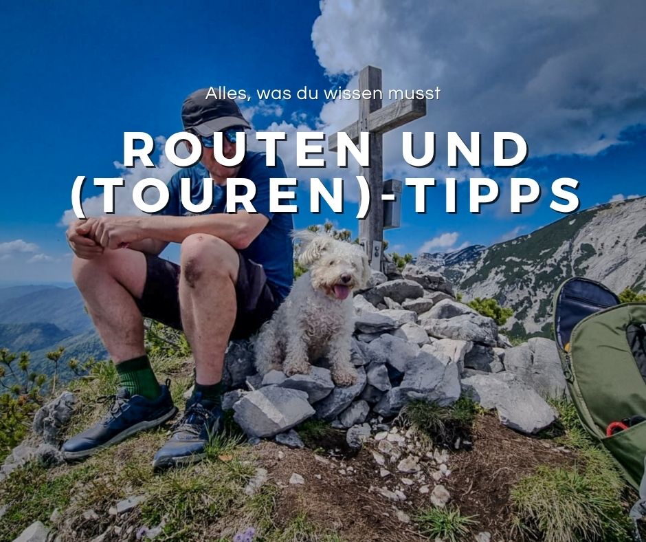 Du betrachtest gerade Gipfelkreuz mit Hund: Tipps für unvergessliche Bergtouren mit deinem Vierbeiner