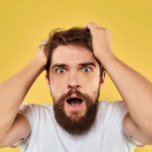Amazing offer on Black Friday and Christmas Deals on Web Hosting and SEO Premium Tools
