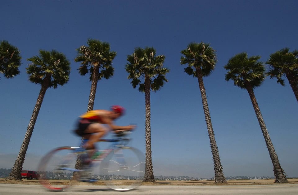 Bicicletta da corsa in spiaggia con palme e ciclista in velocità, stile di vita attivo, sport e turismo ciclistico, bici che amore.
