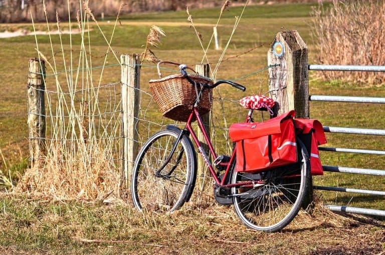 Bici da città con borse rosse, in un ambiente rustico e naturale, perfetta per gli appassionati di ciclismo e avventure all'aria aperta.