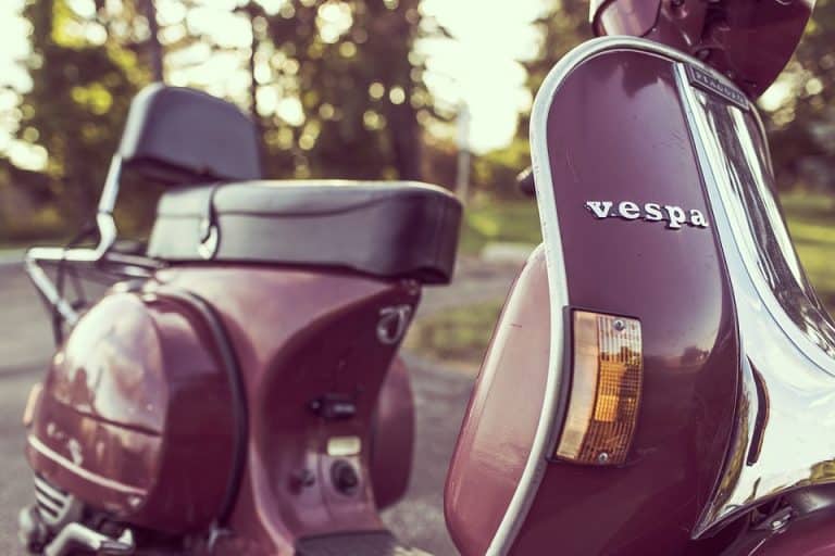 Bici che Amore - Vespa classica in un ambiente naturale, perfetta per appassionati di moto e stile vintage, ideale per touring e avventure su strada.