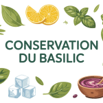 illustration conservation basilic conserver