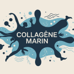 le collagene marin fait il grossir illustration silhouette bien etre