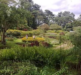 davao city house and lot for sale
